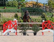 CRISTOFOLETTI AMICO MIO CampITA2013- S5 9356 : AMICO MIO, CRISTOFOLETTI ROBERTO, Campionati Italiani 2013, Cattolica, Horse Riviera Resort, foto di Stefano Secchi ©